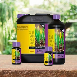 Booster Soil Uni de 5 Litros B´CUZZ