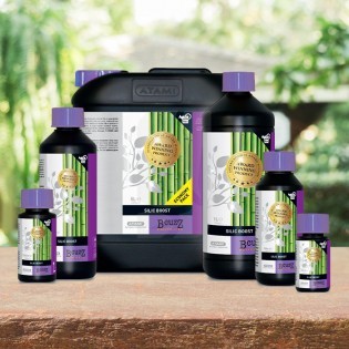 Silic Boost de 500 ml. B'CUZZ