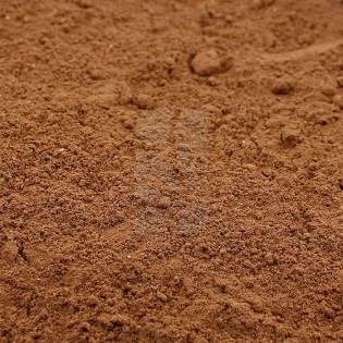 Guano de Murciélago