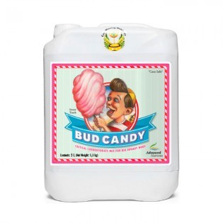 Bud Candy 5 Litros
