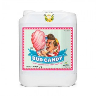 Bud Candy 5L