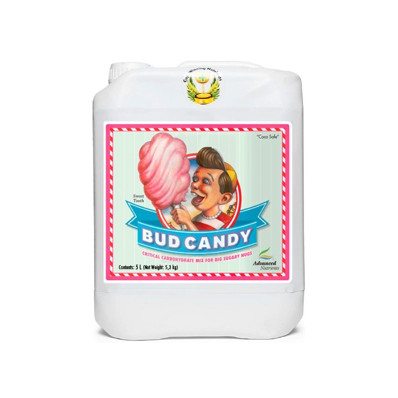 Bud Candy de 5 Litros