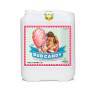 Bud Candy de 5 Litros Bud Candy de 5 Litros