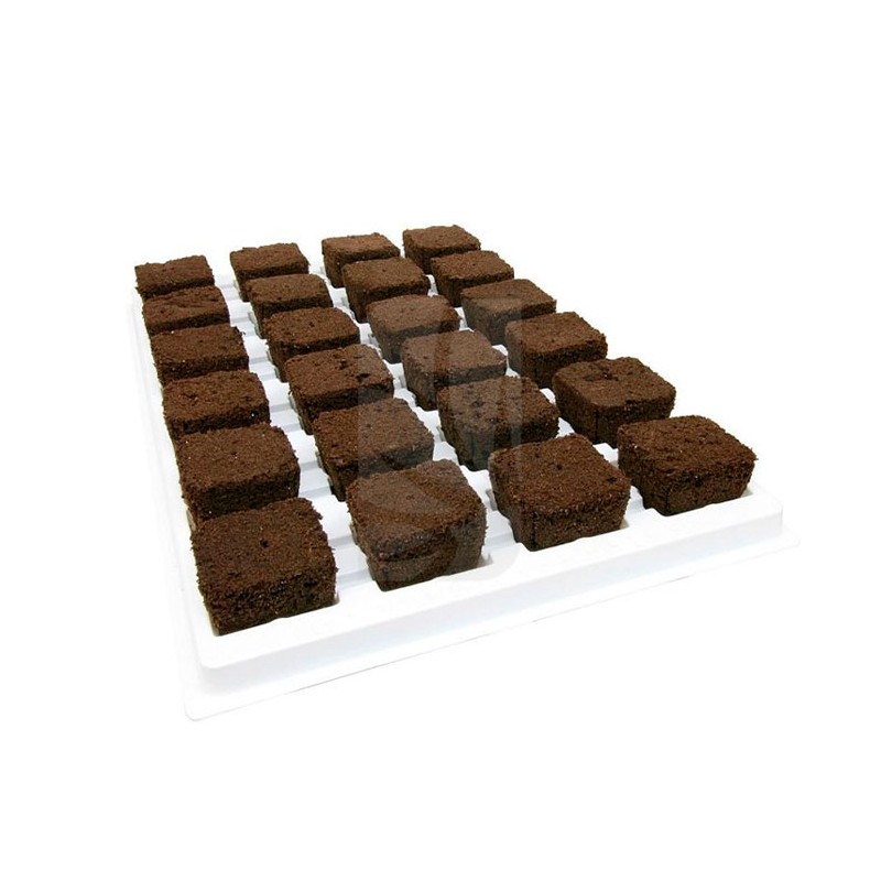 Root Riot Tray Buy Root Riot Tray 24 Cells - Cuttings