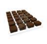 Root Riot Propagation Plugs Tray 24 Cells