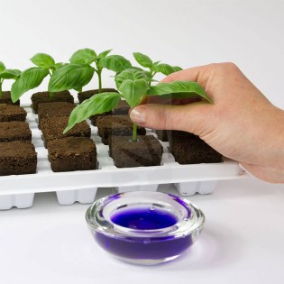 Clonex 50 ml Rooting Hormone