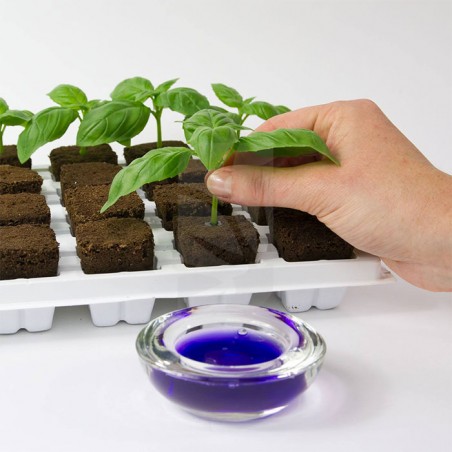 Clonex 50 ml Rooting Hormone