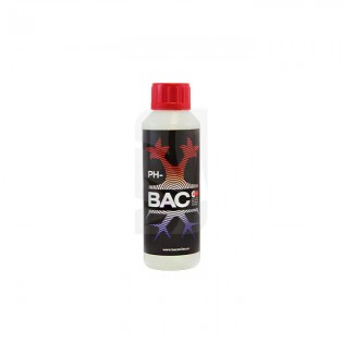 PH DOWN 0,25 L BAC