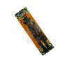 Blunt LRC Terpenes Tangie 1u. Blunt LRC Terpenes Tangie 1u.