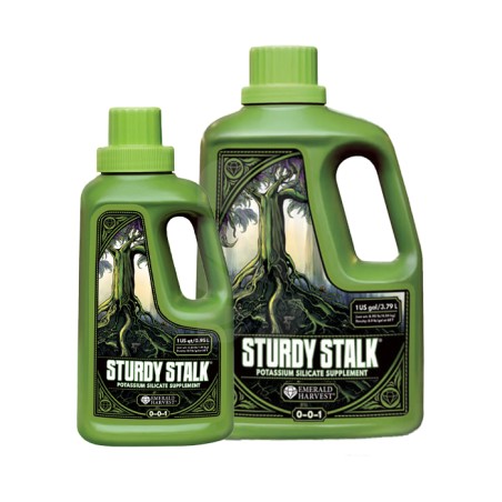 Sturdy Stalk 3.79 Litres Emerald Harvest
