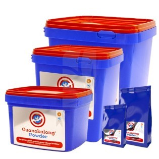 Fledermausguano Pulver 10 kg