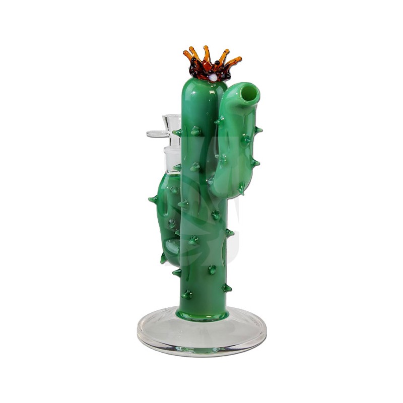 Pipa Cactus verde