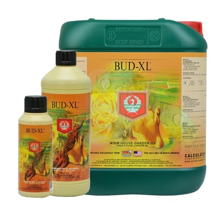 Bud XL 5 Liter H&G