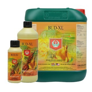 Bud XL de 250 ml. H&G