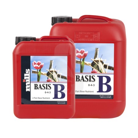 MILLS Basis B de 5 Litros