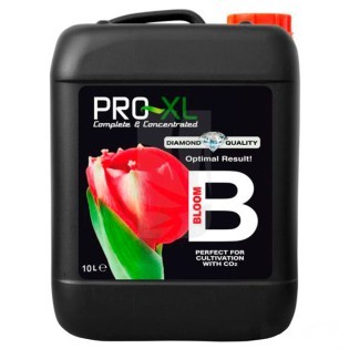 Bloom B de 10 Litros Pro-XL