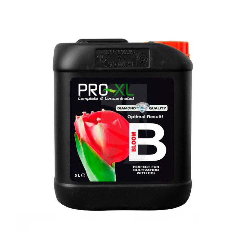 Bloom B de 5 Litros Pro-XL