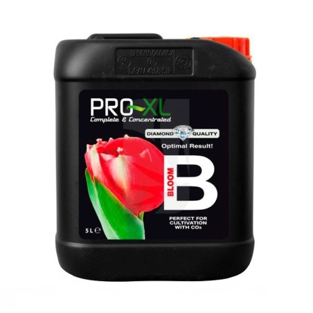 Bloom B de 5 Litros Pro-XL