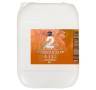 Nano 2 Fertilizante All in One 10 Litros