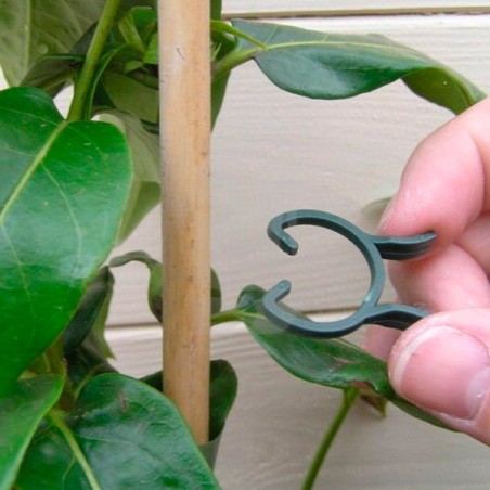 Green Clips in 2 Sizes. 50 Units