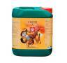 Coco A de 5 Litros H&G Coco A de 5 Litros H&G