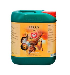 Coco A de 5 Litros H&G