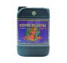 Sensi Bloom B 5 Liter pH Perfect Sensi Bloom B 5 Liter pH Perfect