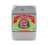 CarboLoad Liquid de 5 Litros CarboLoad Liquid de 5 Litros
