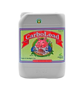 CarboLoad Liquid 5 Litros