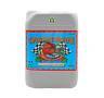 Overdrive de 5 Litros Advanced Nutrients Overdrive de 5 Litros Advanced Nutrients