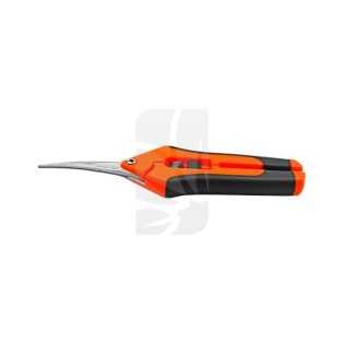 Comprar TIJERA PUNTA CURVA