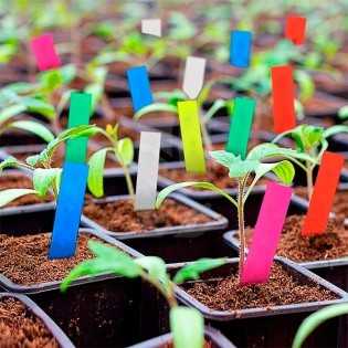 Labels for Yellow Plants with 1000 Units 💛