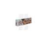 Papel Alfalfa 1 1/4 Lion Rolling Circus Papel Alfalfa 1 1/4 Lion Rolling Circus