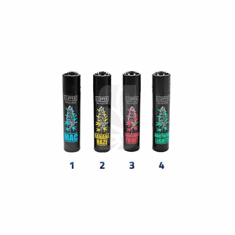 CLIPPER Plantz 7 CLIPPER Plantz 7