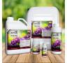Fulvic-Blast de 250 ml. APTUS Fulvic-Blast de 250 ml. APTUS