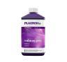 CalMag Pro de 1 Litro PLAGRON CalMag Pro de 1 Litro PLAGRON