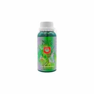 Magic Green de 250 ml. H&G