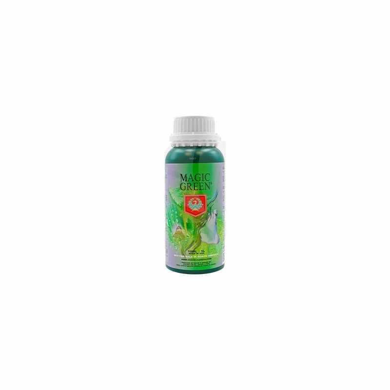 Magic Green de 250 ml. H&G