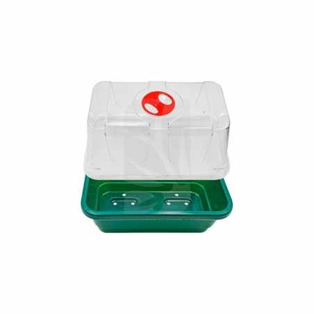 Mini propagador de cúpula alta (3 uds)