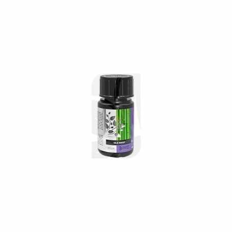 Silic Boost de 50 ml. B'CUZZ
