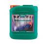 Rhizotonic (XP) de 5 Litros CANNA Rhizotonic (XP) de 5 Litros CANNA
