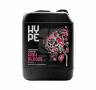 High Bloom 5 Litres The Hype Company