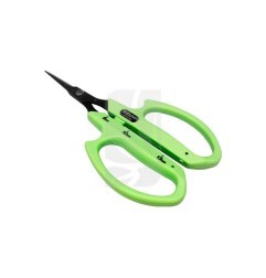 Straight Tip Green Scissors