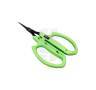 Straight Tip Green Scissors