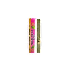 Single Mini Tube Guava King Palm