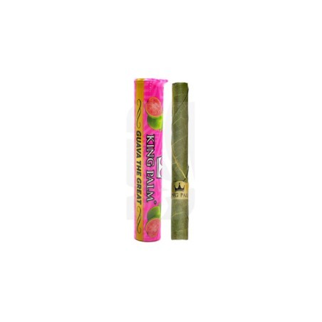 Single Mini Tube Guava King Palm