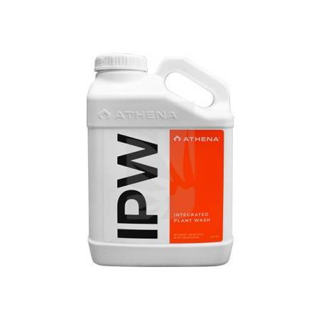 Buy IPW 3.79 Liters ATHENA Pest Control