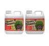 Xpert Nutrients Master Bloom A+B 1 Liter