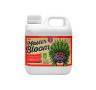 Xpert Nutrients Master Bloom A+B 1 Litro Xpert Nutrients Master Bloom A+B 1 Litro