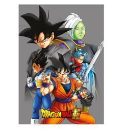 Manta Polar Dragon Ball 100 x 140 cm